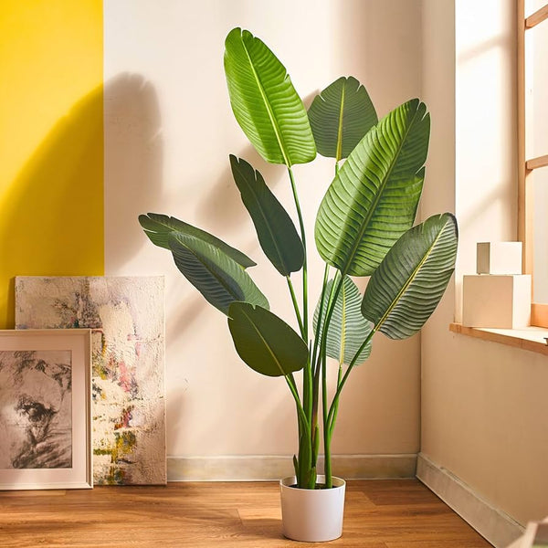 Plants